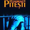 O interpretare etico-fenomenologică a fenomenului Piteşti