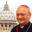 Purpură de Cardinal pentru România
